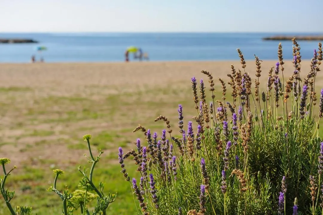 Casa Del Dorado Playa Cambrils Villa Holiday home